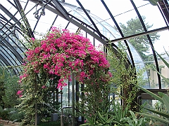 306 Longwood Gardens [2008 August 23]